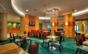 Springhill Suites By Marriott - Tampa Brandon